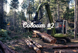 コラム #2(準備中)